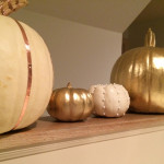 chic_halloween_pumpkins