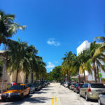 miami-beach-street-palm-trees