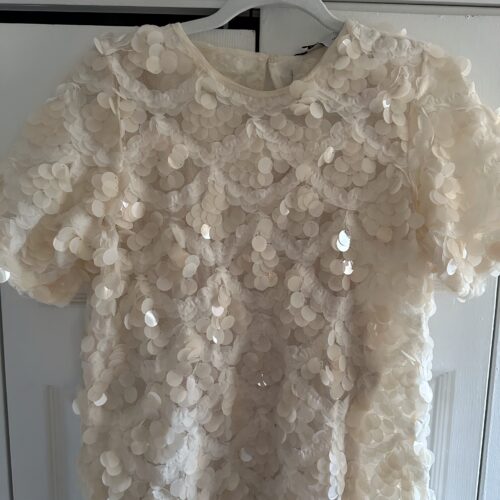 tan sequin dress