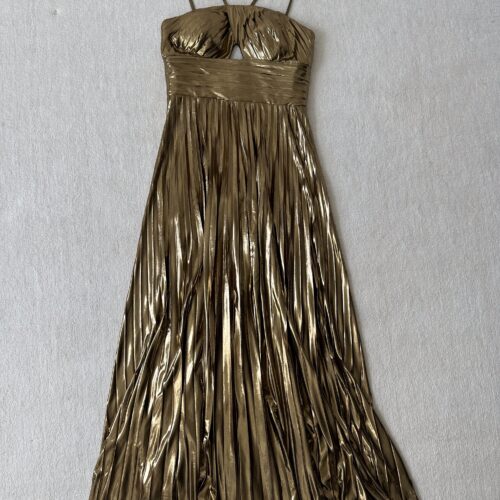 Gold pleaded dress